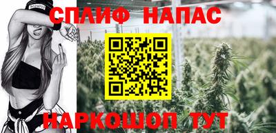 шишки Славянск-на-Кубани