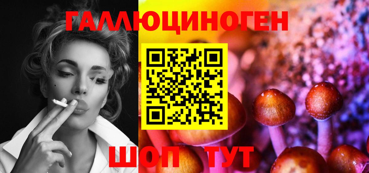 Асино  Галлюциногенные грибы GOLDEN TEACHER  Вход с VPN  продажа наркотиков  Псилоцибиновые грибы прущие грибы 